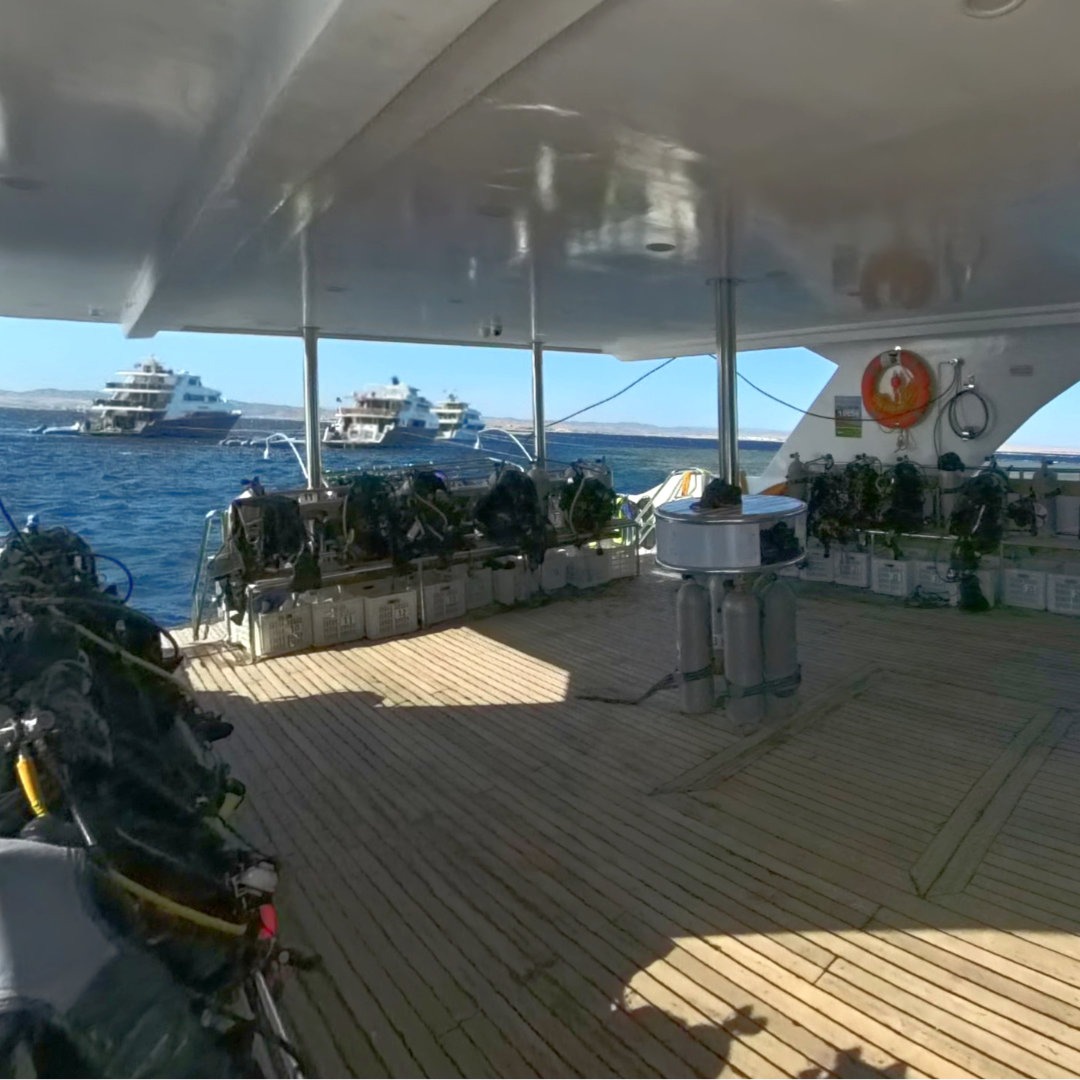 tauchdeck tauchsafari liveabaord redseavision